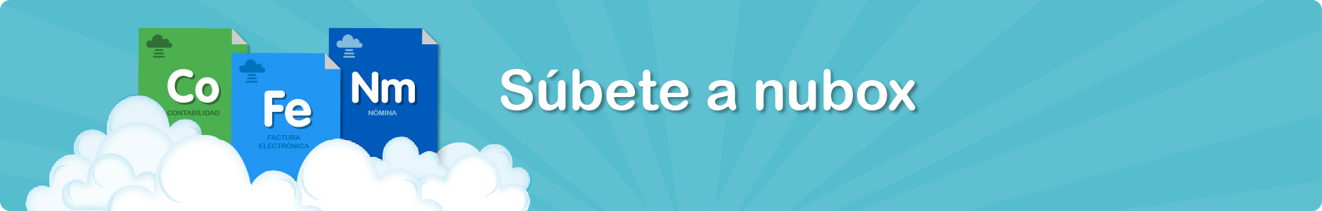 Software de contabilidad, Sistema contable 100% web